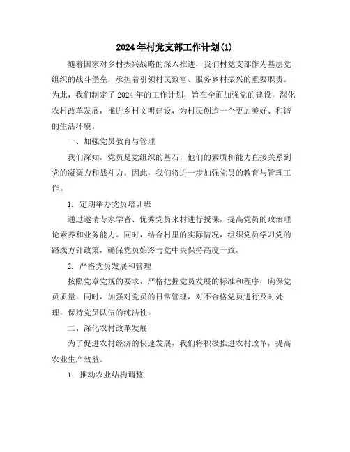 2024年村党支部工作计划(1)