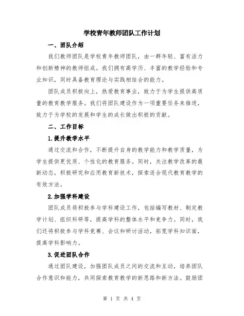 学校青年教师团队工作计划
