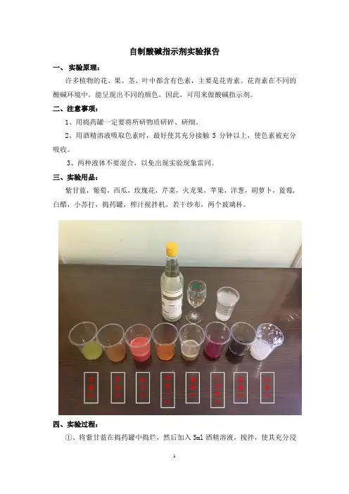 自制酸碱指示剂实验报告