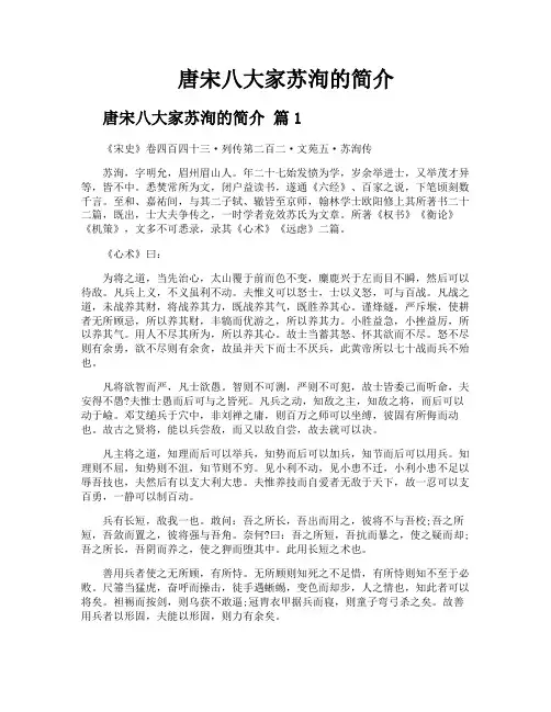 唐宋八大家苏洵的简介