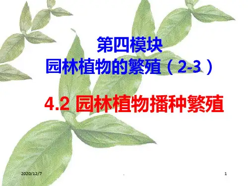 《园林植物播种繁殖》PPT课件
