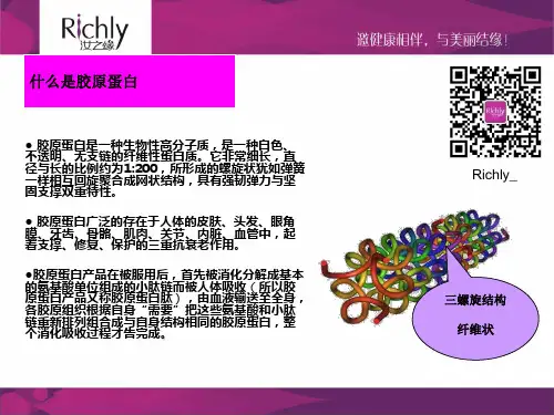 胶原蛋白的产品知识PPT