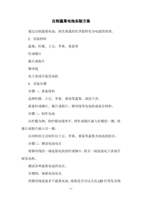 自制蔬果电池实验方案