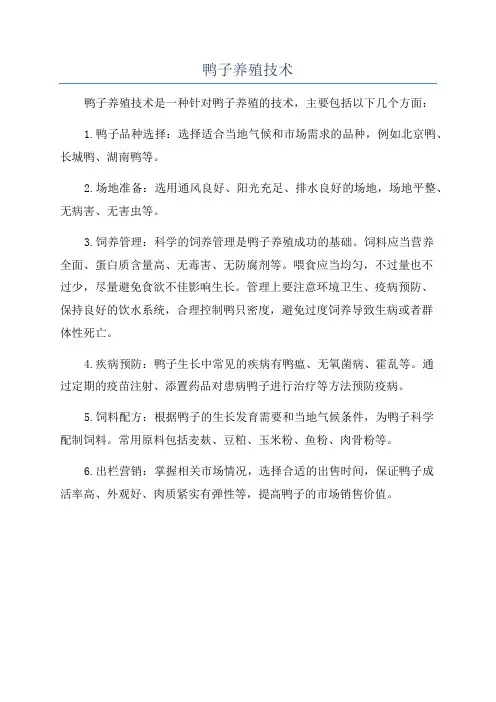 鸭子养殖技术