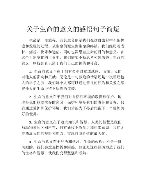关于生命的意义的感悟句子简短
