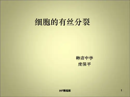 植物细胞有丝分裂过程完整ppt课件