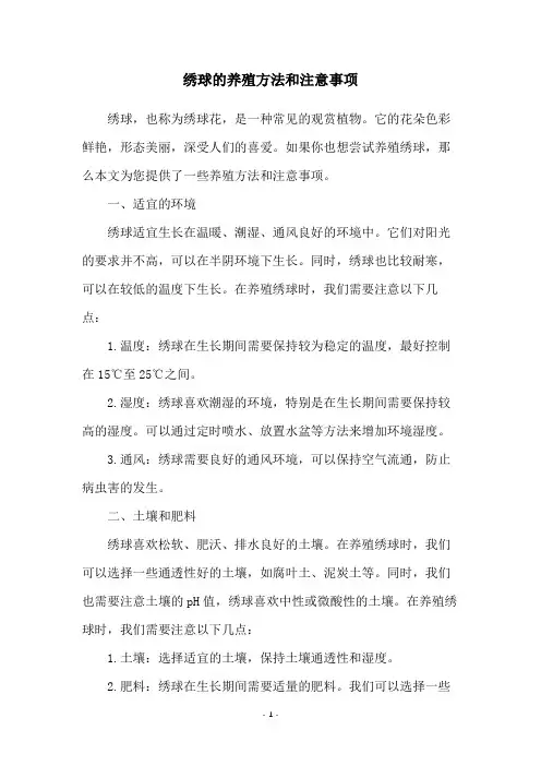 绣球的养殖方法和注意事项
