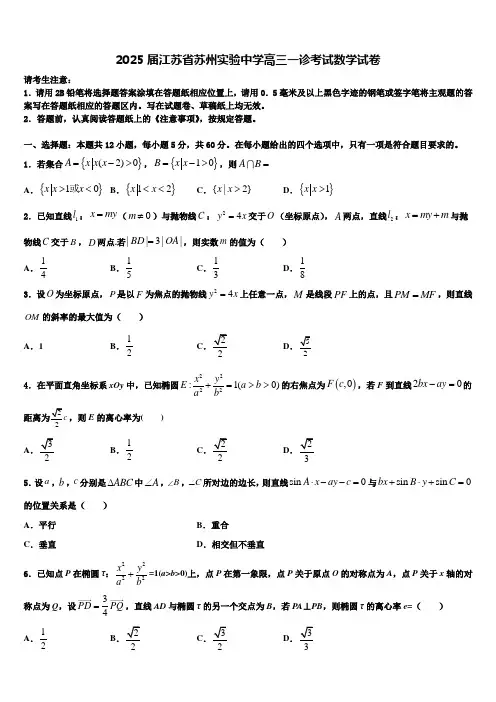 2025届江苏省苏州实验中学高三一诊考试数学试卷含解析