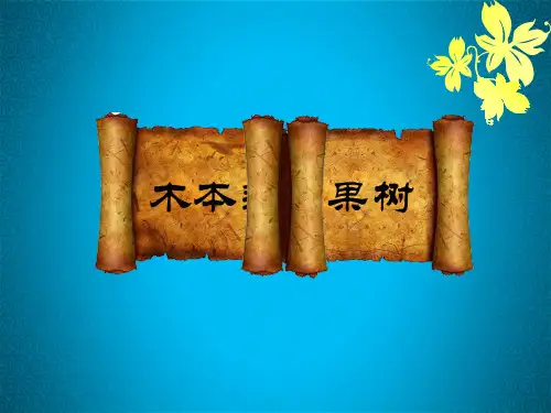 梨生产技术精品PPT课件