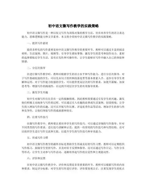 初中语文微写作教学的实践策略