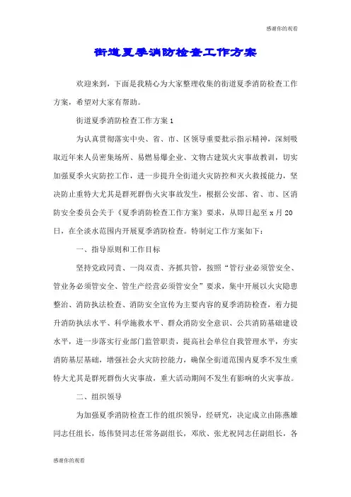 街道夏季消防检查工作方案.doc