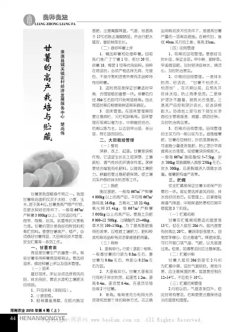 甘薯的高产栽培与贮藏