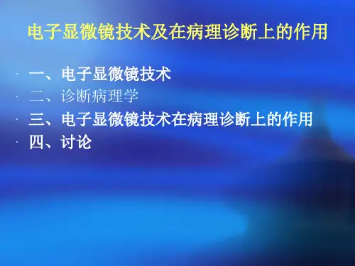 电子显微镜技术及在病理诊断上作用