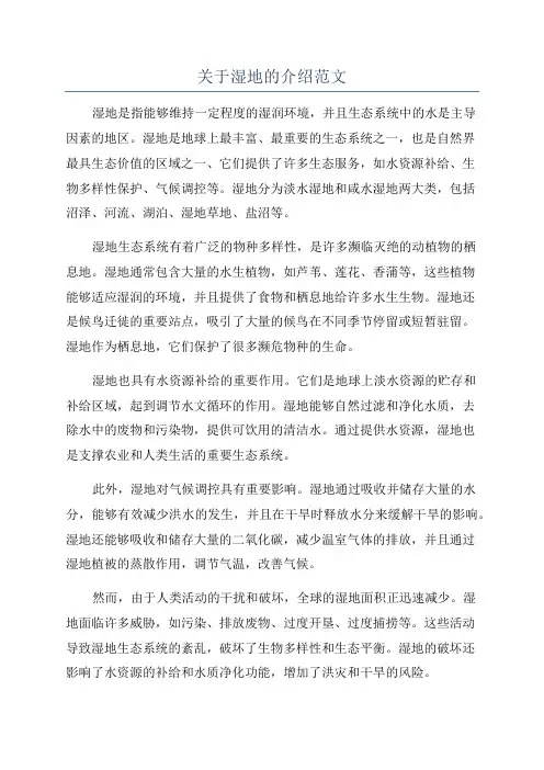 关于湿地的介绍范文