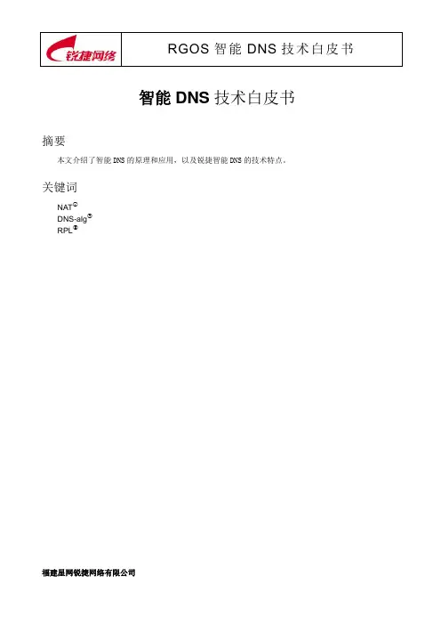 产品技术白皮书_智能DNS技术(V1.0)