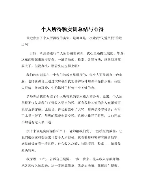 个人所得税实训总结与心得