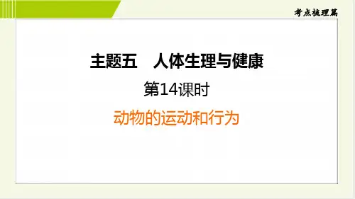 2024年中考生物总复习考点梳理第14课时动物的运动和行为