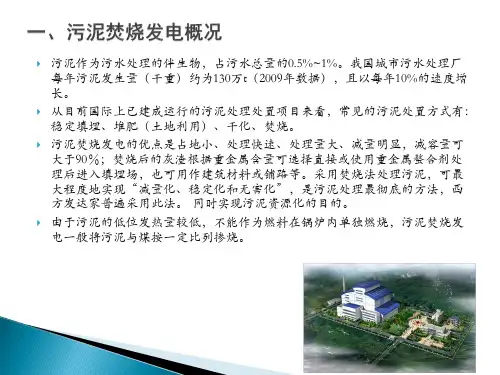 污泥焚烧发电技术简介ppt课件