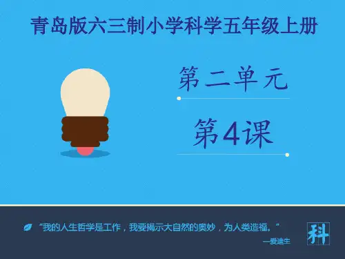 《 各种各样的声音》课件