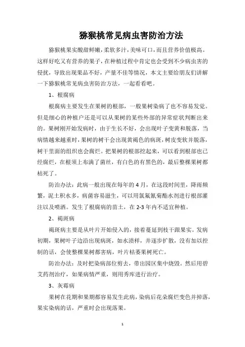 猕猴桃常见病虫害防治方法