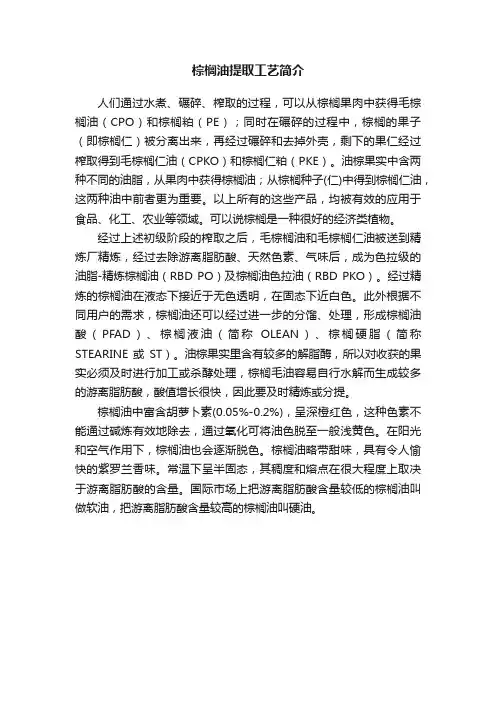 棕榈油提取工艺简介