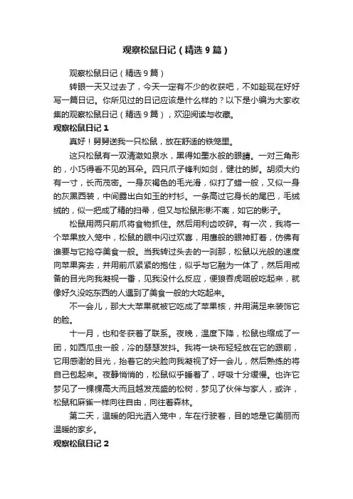观察松鼠日记（精选9篇）