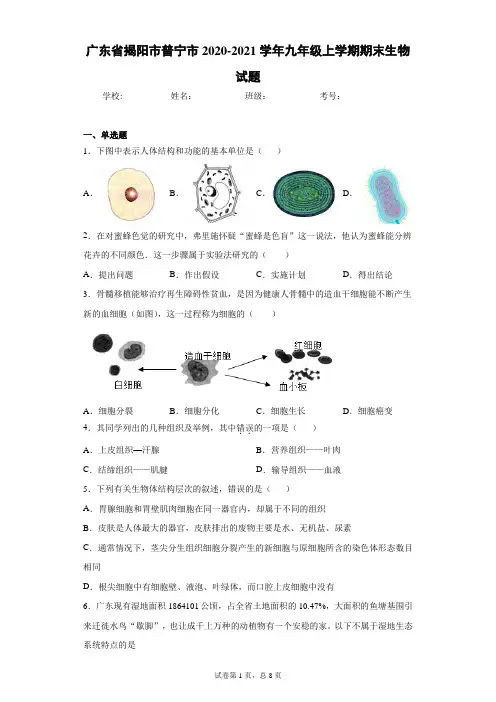 广东省揭阳市普宁市2020-2021学年九年级上学期期末生物试题(含答案解析)