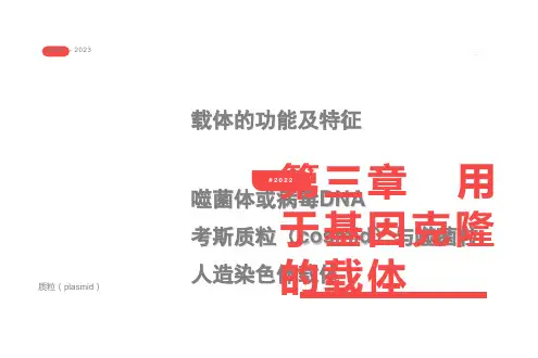 用于基因克隆的载体