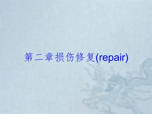 第二章损伤修复(repair)