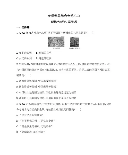 最新九年级上册历史02专项素养综合全练(二)封建时代的欧洲、亚洲文明