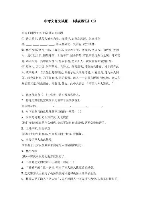 中考文言文试题—《桃花源记》(5)