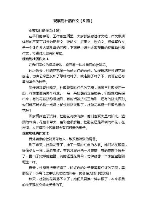 观察勒杜鹃作文（5篇）