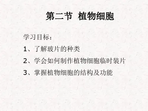人教版七年级生物上册第二单元第一章 观察植物细胞(22张PPT)