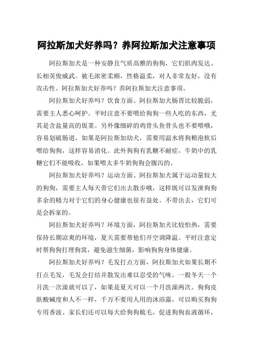阿拉斯加犬好养吗？养阿拉斯加犬注意事项_1