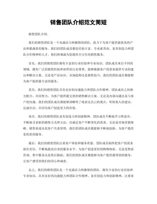 销售团队介绍范文简短