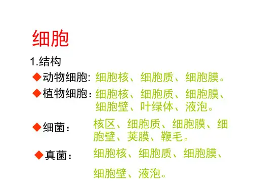 原核生物无细胞核