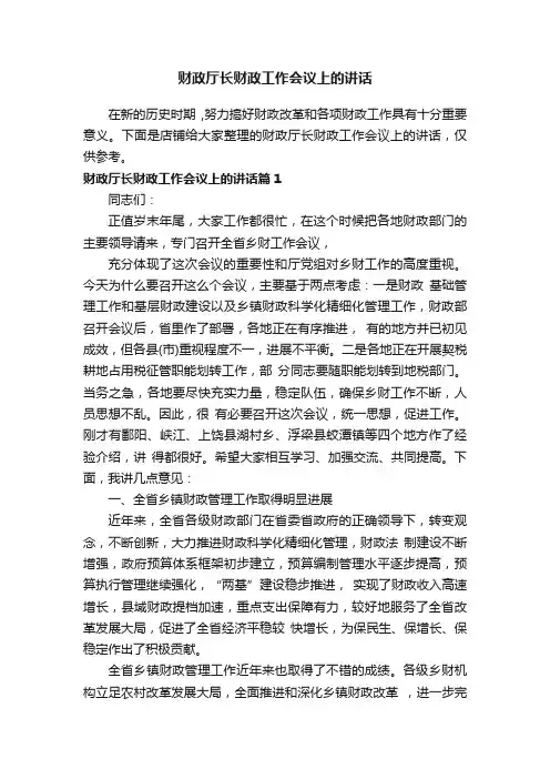 财政厅长财政工作会议上的讲话