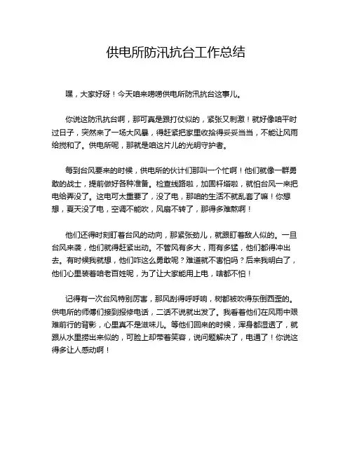 供电所防汛抗台工作总结