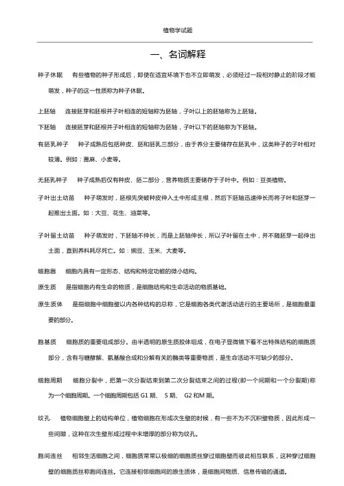植物学试题及答案(综合)