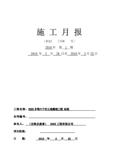 土地整理工程施工月报 精品