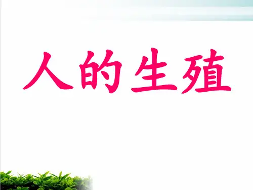 人教版七下生物人的生殖完美课件