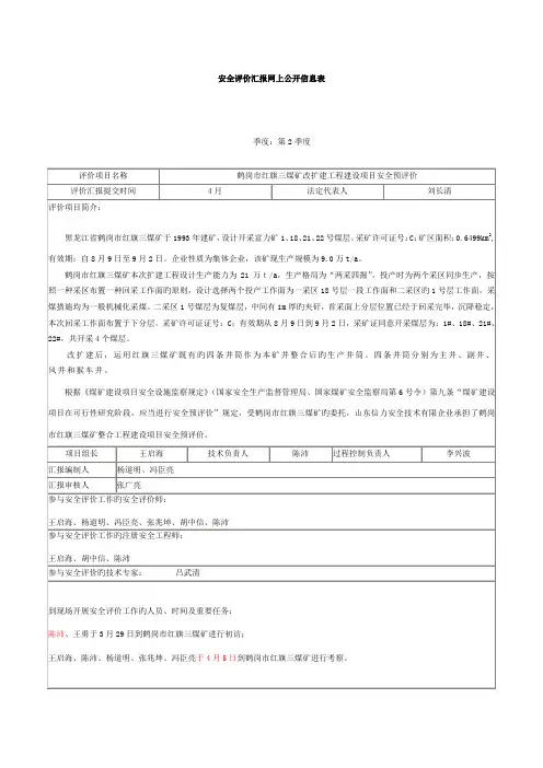 安全评价报告网上公开信息表