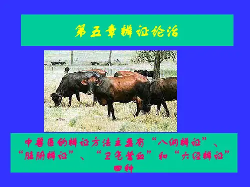 中兽医教学课件第五章辨证论治