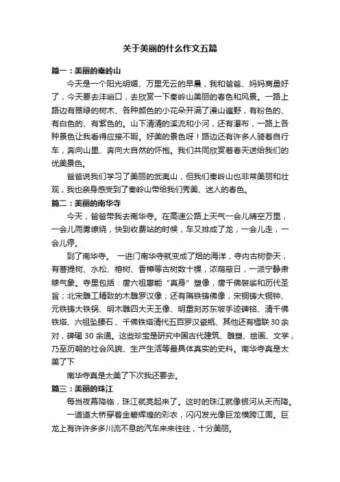 关于美丽的什么作文五篇