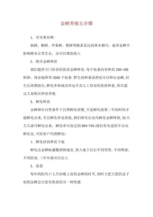 金蝉养殖五步骤
