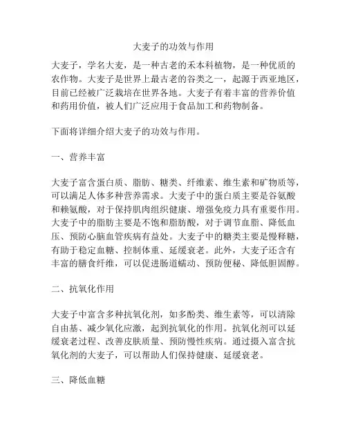 大麦子的功效与作用