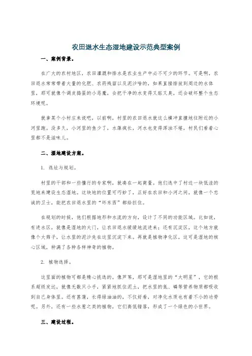农田退水生态湿地建设示范典型案例