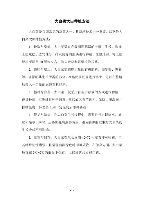 大白菜大田种植方法