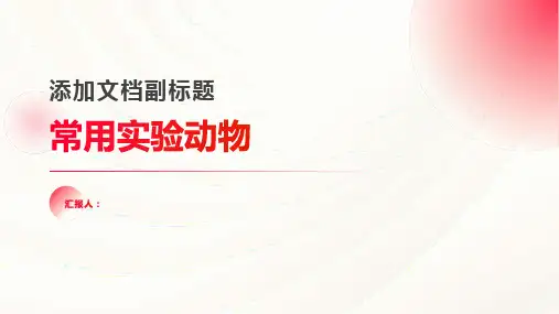 常用实验动物
