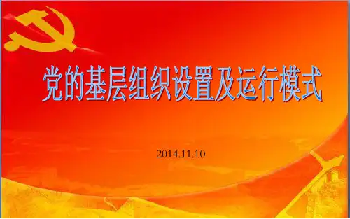 党的基层组织设置及运行模式 PPT课件